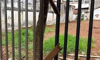 Imagem: Alugo no centro de Goiânia