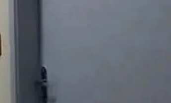 Imagem 11: SAO LEOPOLDO - KITNET - CENTRO