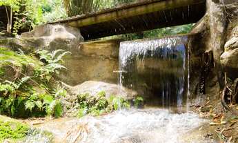 Imagem 3: Chácara à venda, Duas Barras, Anchieta, ES