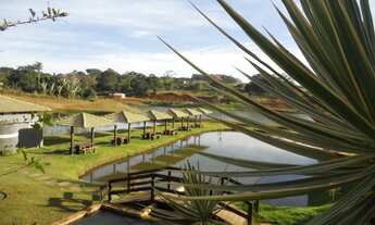 Imagem 6: Aluga-se chácaras urbana e salão de festa na Entrada de Jaiara BR 153 Anápolis