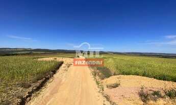 Imagem 3: Fazenda em Pires do Rio - GO. 115 Alqueires