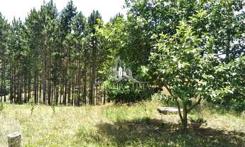 Imagem 6: Terreno com 1 Dormitorio(s) localizado(a) no bairro Centro em Contenda / Ref.:846