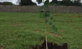 Imagem 6: Terreno à venda, 336 m² a partir de R$ 252.000,00 - Condomínio Brisas da Chapada Jardim Vi