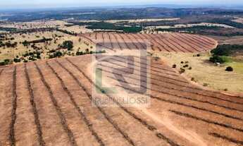 Imagem 4: MS) Fazenda em São Gabriel do Oeste com 440 Hectares