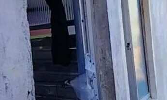 Imagem 7: Vendo casa na rua 13 de maio bairro Pau Da Lima *80