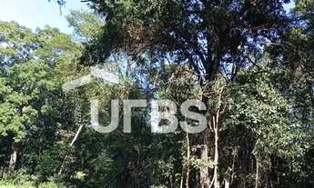 Imagem 2: Oportunidade de chacará com mata exuberante