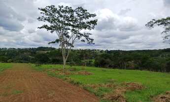 Imagem 6: Chácaras 1.500 m² em Nova Veneza - GO!