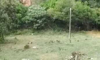 Imagem 2: Lote em condomínio em Rua Maria de Lourdes Pereira - Barreiro - Mairiporã/SP