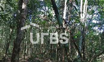 Imagem 7: Oportunidade de chacará com mata exuberante