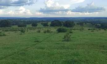 Imagem 6: Fazenda de arrendamento 2.000 hec em Caiapônia Go. Grade combinar