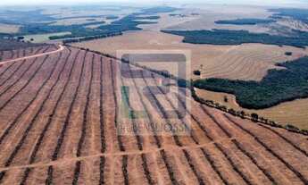 Imagem: MS) Fazenda em São Gabriel do Oeste com