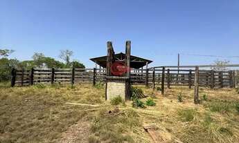 Imagem 5: Fazenda Gravatá a venda, Nossa Senhora do Livramento