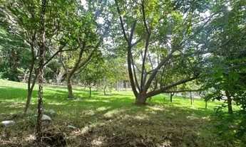 Imagem 7: Vendo lindo sitio em condomínio fechado em Contagem