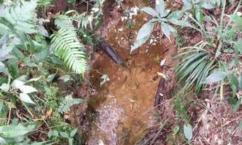 Imagem 3: Terreno com Casa e Nascente Bairro Campestre, Tijucas do Sul 11.000m²