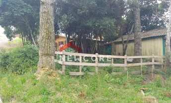 Imagem 7: Casa em Rua Surucuá - Colinas - São Francisco de Paula/RS