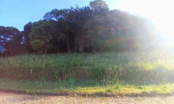 Imagem 4: CAXIAS DO SUL - Terreno Padrão - LINHA 40