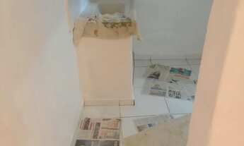 Imagem 6: Casa de aluguel em Brotas