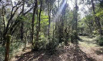 Imagem 7: Imóvel para venda com 49.743metros quadrados em Campo Novo - Campo Magro - PR