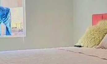 Imagem 6: Lindo imóvel a venda no vila Otto