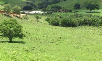 Imagem 7: Fazenda no Periquito/MG