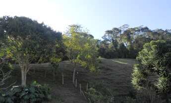 Imagem 7: PETRóPOLIS - Casa Padrão - Itaipava