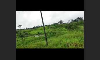 Imagem 3: Terra Fazenda / sítio com venda por R$1.600.000