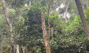 Imagem 6: TERRENO ESPERANDO VOCÊ