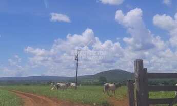 Imagem: Felixlândia - Fazenda - Centro