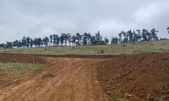 Imagem 2: TERRENO ESPERANDO VOCÊ