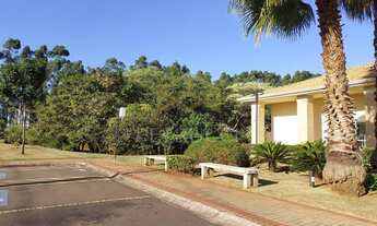 Imagem 3: Terreno - Centro - Campinas