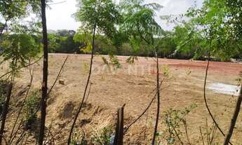 Imagem 3: área - Chácaras Campos dos Amarais - Campinas