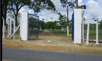 Imagem 4: Alugo área de 01 a 08 hectares