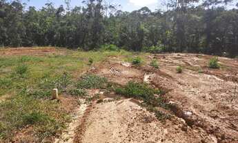 Imagem 3: IçARA - Terreno Padrão - Cristo Rei