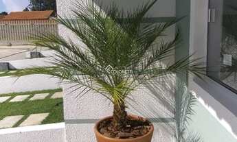 Imagem 7: COCAL DO SUL - Casa Padrão - Linha Tigre