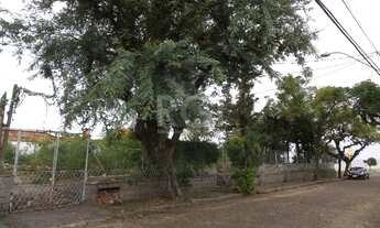 Imagem 5: Porto Alegre - Terreno Padrão - Ipanema