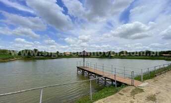 Imagem 4: Seu LOTE na fazenda pronto para construir !