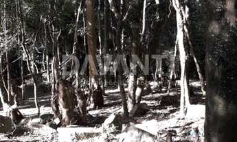 Imagem 3: Terreno - Condomínio Clube de Campos - Valinhos