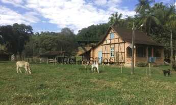 Imagem 2: Sítio 1 Quarto Pomerode - SC - Testo Central