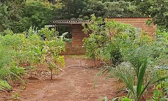 Imagem 15: Cháchara Jardim são José