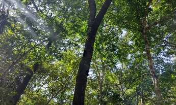 Imagem 6: Chacara de recreio a venda estrada do manso