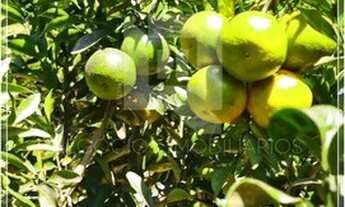 Imagem 2: Chácara com 11.700 m² no condomínio Veredas do Lago em Trindade GO