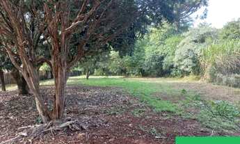 Imagem 3: LONDRINA - TERRENO PADRÃO - RUI BARBOSA