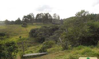 Imagem 2: Sítio com 3 dorms, Curral, Ibiúna - R$ 750 mil, Cod