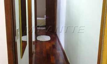 Imagem 6: Linda casa em Freguesia do Ó