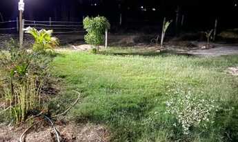 Imagem 6: Chácara 5.000mts2