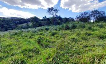 Imagem 3: Terreno 4 hectares com nascente dentro do terreno , lagoa , rico em água