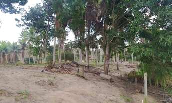 Imagem 3: Sítio para venda 1000M² a 5km de praia grande, em iriri fundão - SI64