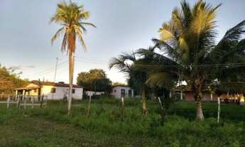 Imagem 6: V) Vende-se Fazenda de gado próximo a Buerarema