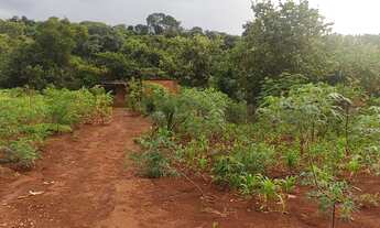 Imagem 13: Cháchara Jardim são José