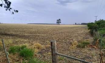 Imagem 3: Fazenda Porteira fechada ( AR 2749